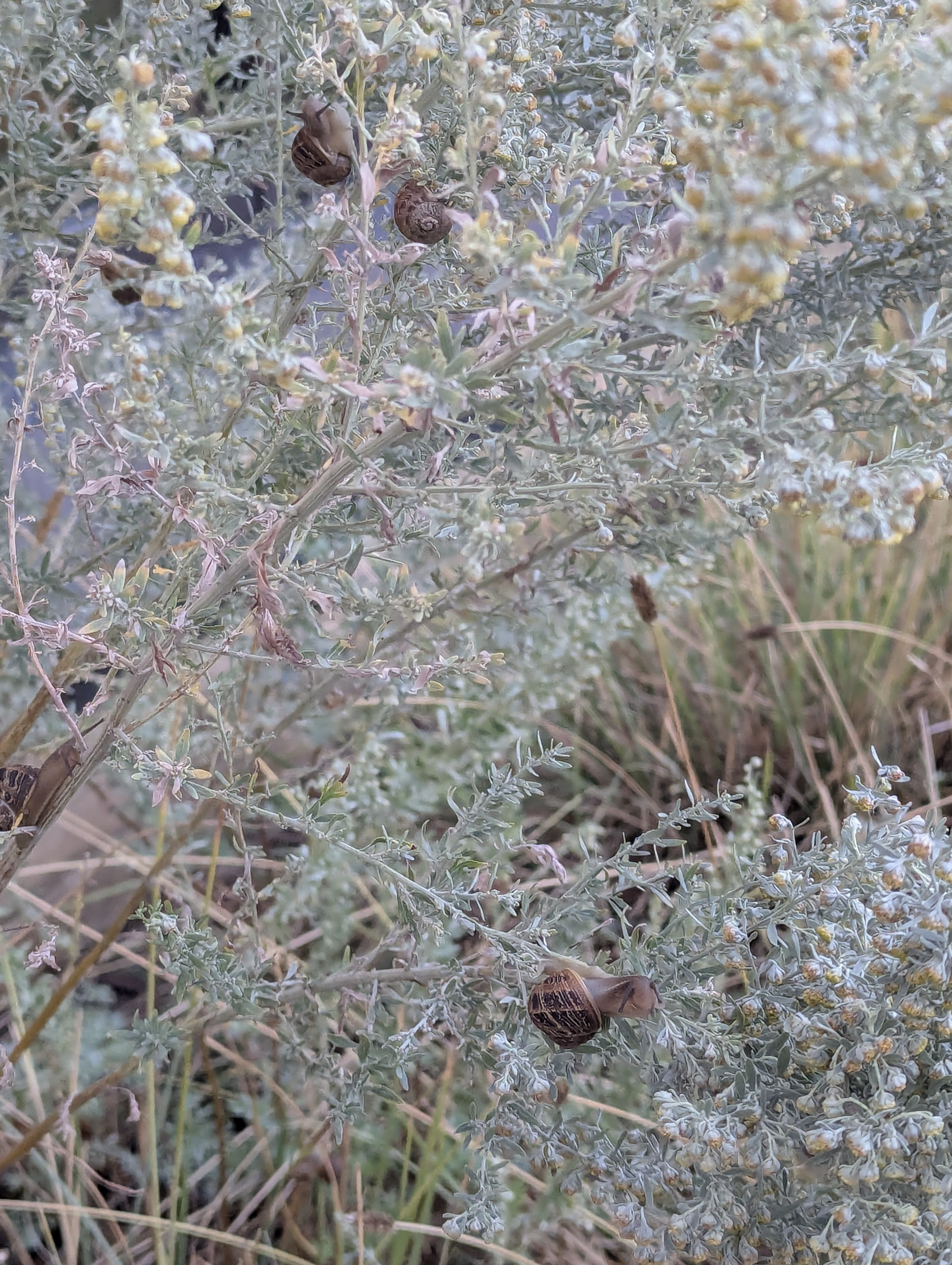 Copenhagen, Scandic Hotel